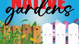 Buffalo Theatre Ensemble presents ‘Native Gardens’ at McAninch Arts Center