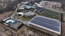 New DuPage wildlife hospital shows care for creatures great and small in ‘real time’