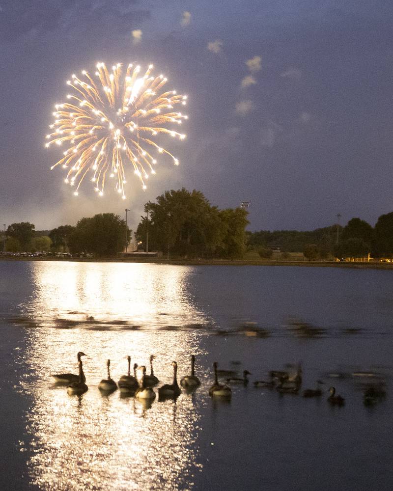 Fireworks explode over Lake Mendota as Canadian geese swim during the show on Saturday, June 24, 2023.