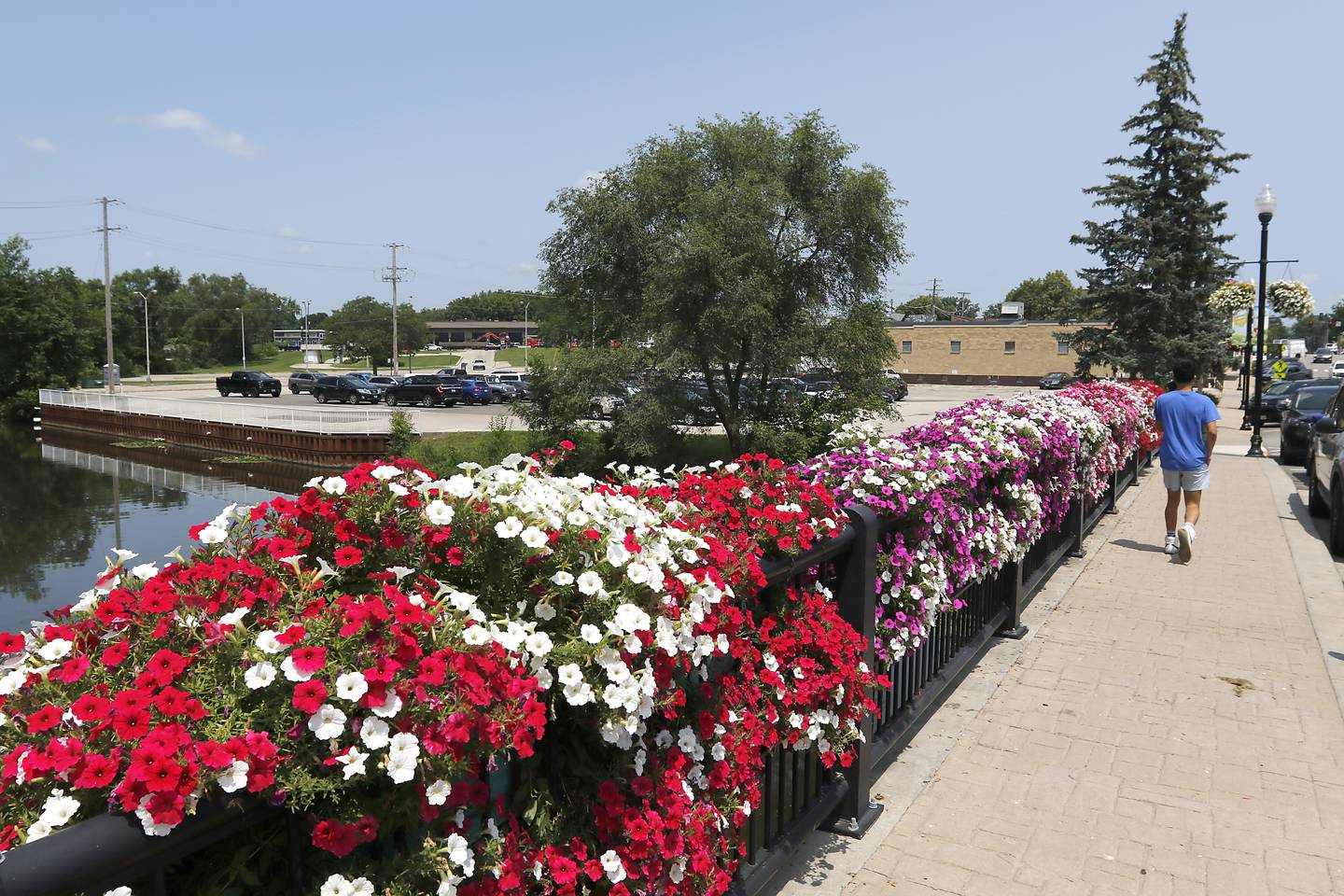 A pedestrian walks towards the  2-1/4 acres between Route 120 and Green Street that is owned by City of McHenry on Friday, July 12, 2024. Shodeen Group LLC will present to the McHenry City Council's committee of the whole their plans to develop two downtown locations. The city and Shodeen entered in a “standstill” agreement in April 2023, to not market to another developer this site or the former wastewater treatment site off Waukegan Road on the Fox River.