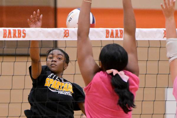 2025 Daily Chronicle volleyball preview: Team capsules