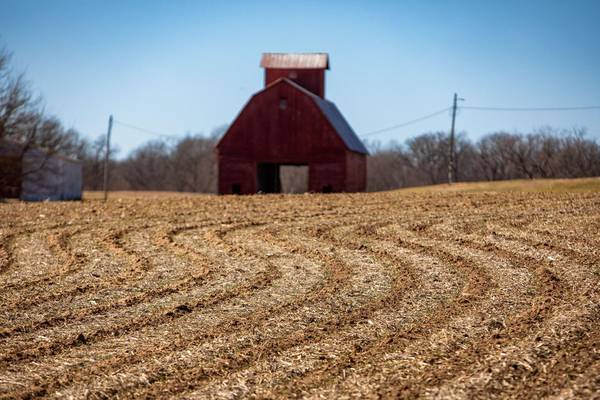 Crop markets watching Iran war implications