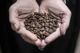 What is a tariff, who pays for it, and what happens next?