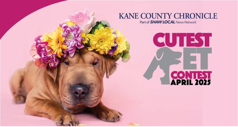 KCC April pet
