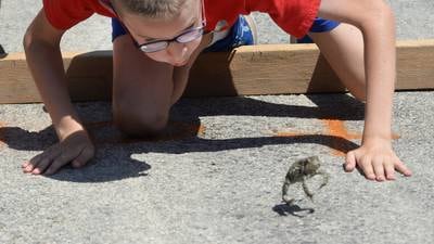 Photos: Hooppole Fun Day 2025