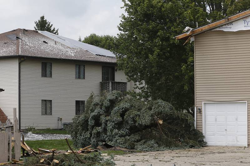 A downed tree between two damaged apartment buildings in Huntley on Thursday, July 13, 2023, after a confirmed tornado took the roof off the building in Huntley on Wednesday.