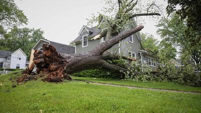 Trees, wires down after storms zip across McHenry County