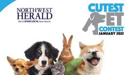 McHenry County’s January Cutest Pet Contest