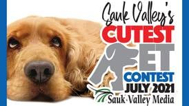 Photos have been entered in July’s Sauk Valley’s cutest pet  ... it’s now time to vote
