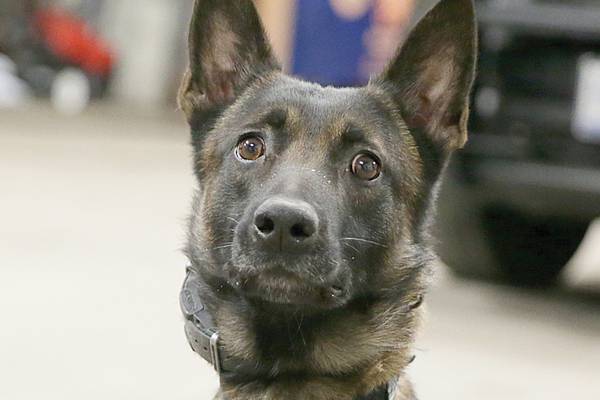 Eye On Illinois: Putting a law on the books doesn’t guarantee permanent change