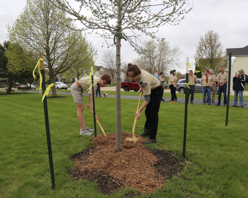 Boy Scouts Jack Nevenhoven and Logan Cashburn shovel mulch on a newly planted tree in honor of Arbor Day on Saturday, April 27, 2024 at Oak Park in Elburn.
