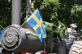 Photos: 75th Annual Swedish Days Parade in Geneva