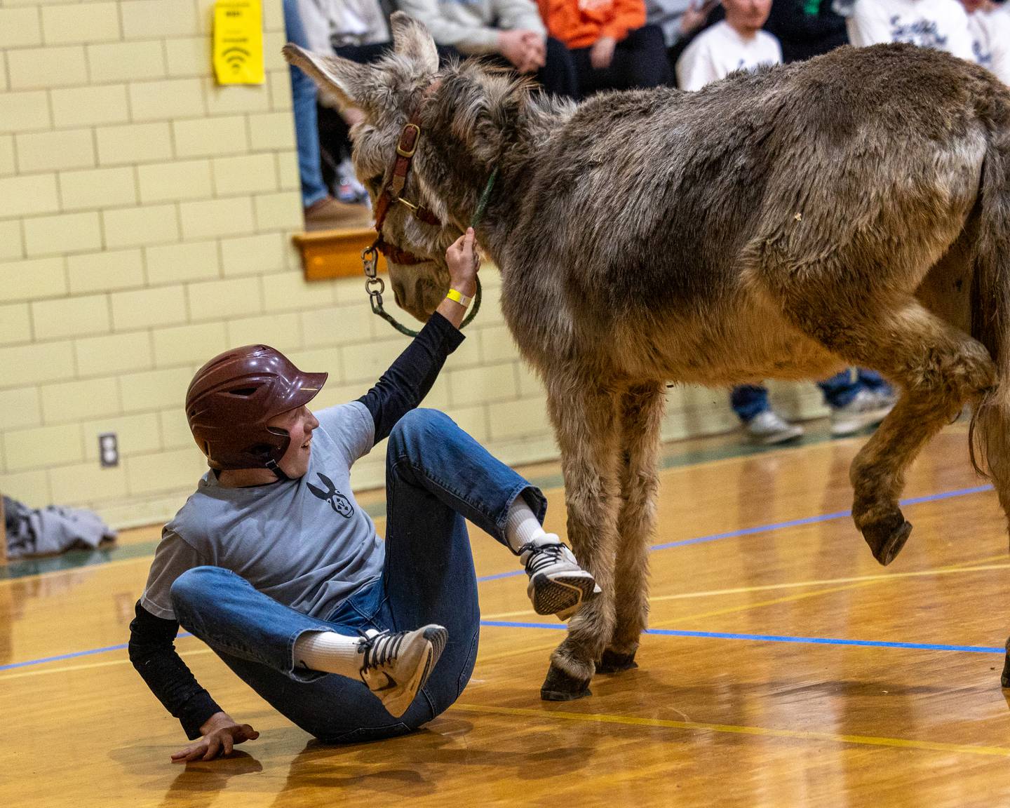 Aj Stiegler of the 'Village Church' team falls off donkey in game of Donkey Basketball on Saturday, Feb. 7, 2026 at Seneca High School West Campus in Seneca.