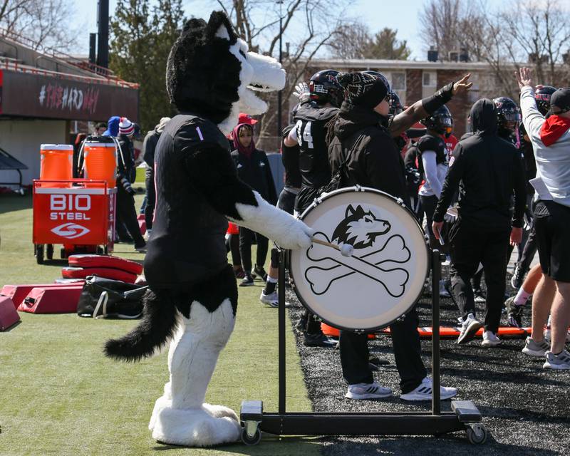 Northern Illinois University mascot bangs a drum as the defense team was able to stop the offense during a spring football scrimmage held at Huskie Stadium in DeKalb on Saturday April 16th.