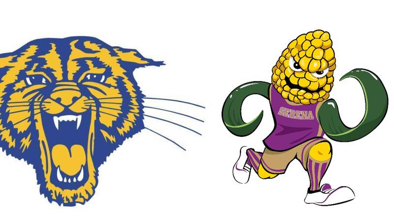 Serena, Somonauk/Leland softball both win to maintain tie atop Little Ten standings: The Times Tuesday Roundup