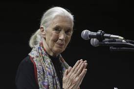 Jane Goodall, conservationist renowned for chimpanzee research and environmental advocacy, has died
