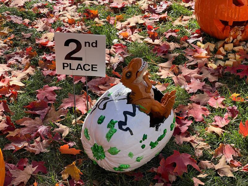 Ethan Franklin's dinosaur egg pumpkin, seen here on Oct. 25, 2024 was awarded second place in the 7 and under carved pumpkin category in the 2024 Sycamore Pumpkin Festival pumpkin decoration contest.