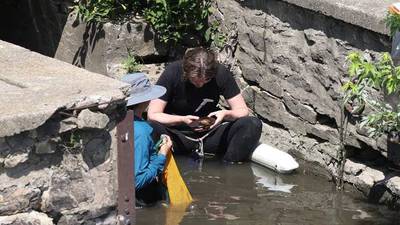 Kankakee River mussels captured, moved