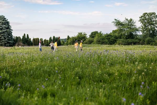 Summer in the Preserves plants seeds for the future   