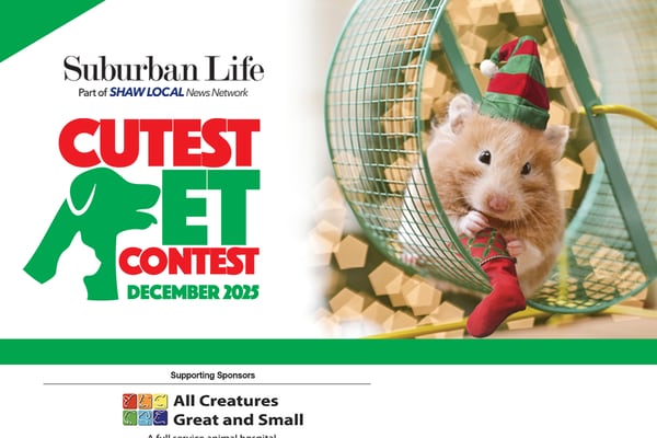 December Cutest Pet Contest