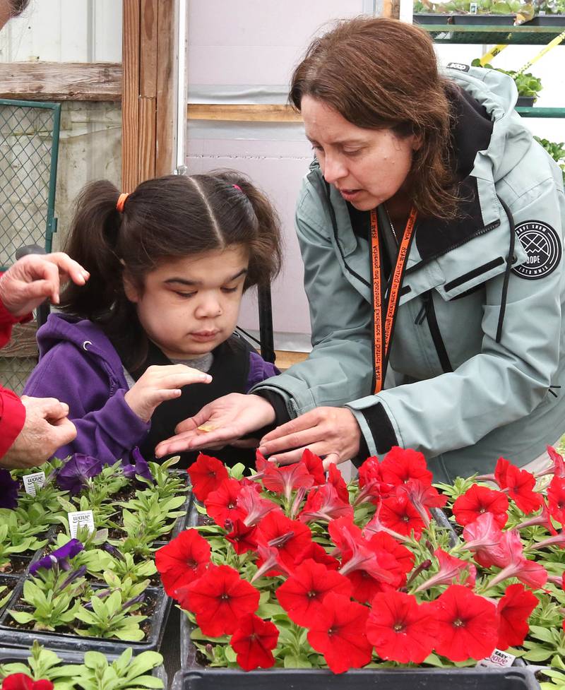 Jessica Marcellis-Montavon, DeKalb School District 428 Transition Program teacher and vocational coordinator, works with student Lorelei Yee Thursday, May 9, 2024, as they deadhead plants as part of their work for the day at Walnut Grove Vocational Farm in Kirkland. The Transition Program is dedicated to serving students with intellectual and developmental disabilities ages 18 to 22.
