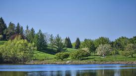 Northern Illinois in Bloom: Best botanical gardens & arboretums 