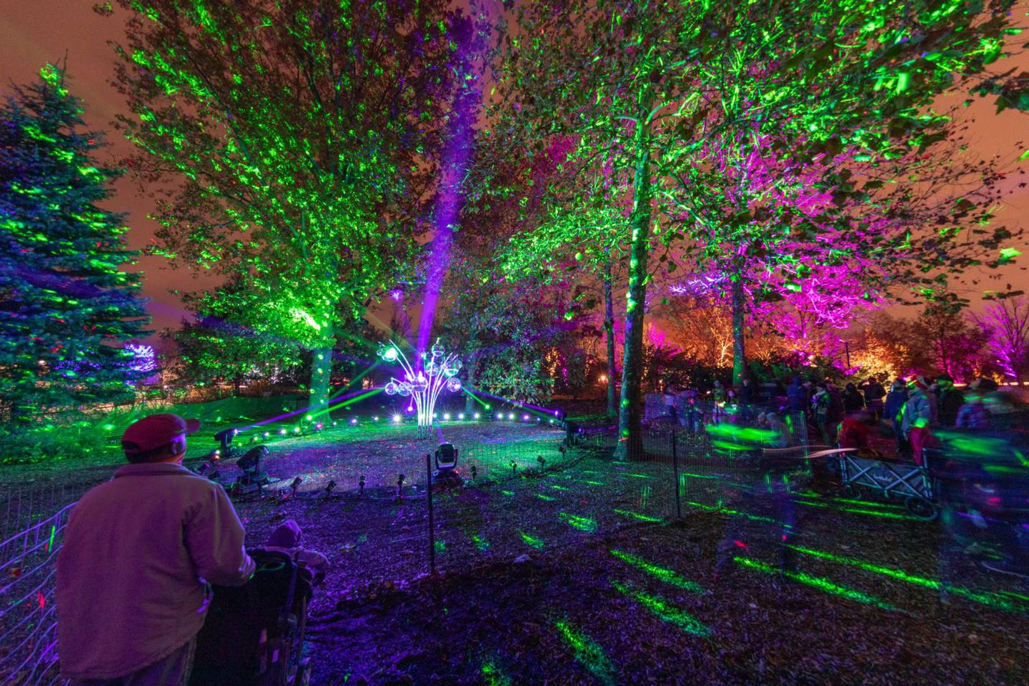 “Illumination: Tree Lights at The Morton Arboretum” runs from Saturday, Nov. 16 through Saturday, Jan. 4, 2025 and is open daily from 4:30 to 9:30 p.m.