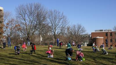 Bunny breakfasts, egg hunts among numerous family Easter activities in DuPage County