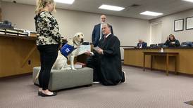 Bunker the courthouse dog takes his oath in Grundy County