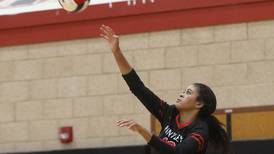 Girls volleyball: 2023 All-Fox Valley Conference team announced 