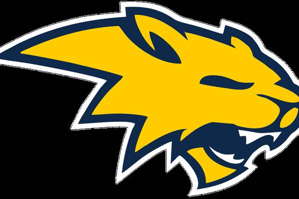 Neuqua Valley’s defense stands tall late, secures 10th straight win over Waubonsie Valley