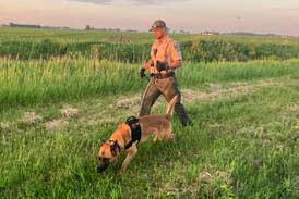 New K-9 sniffs out suspect hiding along creek