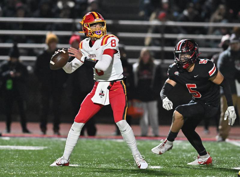 Batavia's Michael Vander Luitgaren 8) looks to throw a pass during the Class 7A semifinal playoff game against Lincoln-Way Central on Saturday, Nov 23, 2024 at New Lenox. (Dean Reid for Shaw Local News)