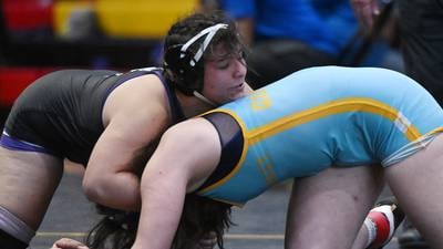 Here are key IHSA girls, dual team state wrestling storylines to watch in McHenry County