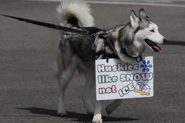 Listen: McHenry County’s 5 most-read stories this week, March 22-28