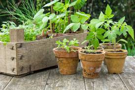 Hilltop Gardeners Garden Club meeting April 10