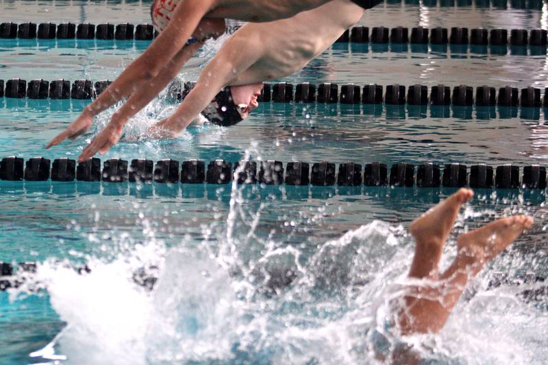 Swimmers begin the second heat of the 50-Yard Freestyle during the Fox Valley Conference Swimming Championships at Woodstock North High School Saturday.