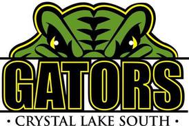 Matt Bychowsky’s gem leads Crystal Lake South past St. Viator in Florida: Wednesday’s Northwest Herald roundup