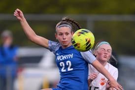 Wheaton Warrenville South shuts down Wheaton North