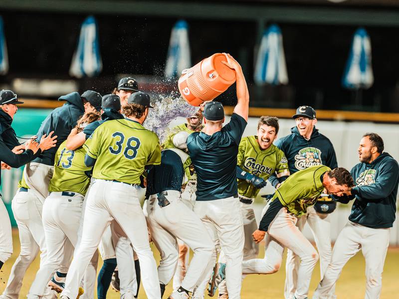 Join the Kane County Cougars and celebrate America’s game