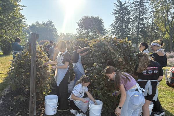 Princeton students have hands-on experience to process grape jelly  