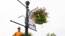 Photos: Petunias decorate downtown Dixon for 2025 summer season