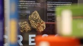 Lawsuit claims cannabis industry oversold medical benefits, downplayed risks
