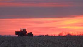 Traditional cash rent leases down in 2026: survey