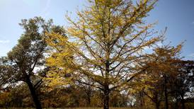 Fundraiser to help restore DuPage County forest preserves