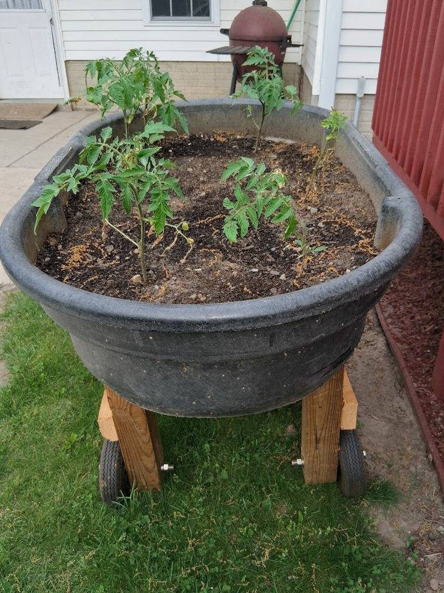 Joe's portable garden.