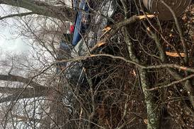 Wheaton continues to clear downed trees following heavy winds