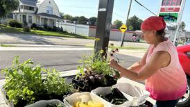 Farmers market in Polo offers fresh veggies, meat and more