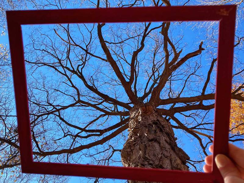 Head to Hidden Oaks Nature Center in Bolingbrook starting Jan. 3 for a Fill the Frame photo program. Pick your frame, take your shot and submit it for a photo exhibit in February.