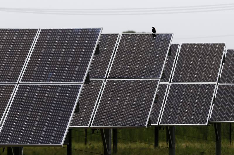 The solar farm at Huntley High School on Friday, June 30, 2023. Multiple solar farms across McHenry County are being presented to the McHenry County Board creating concerns of watershed, farmland and pollinator issues.